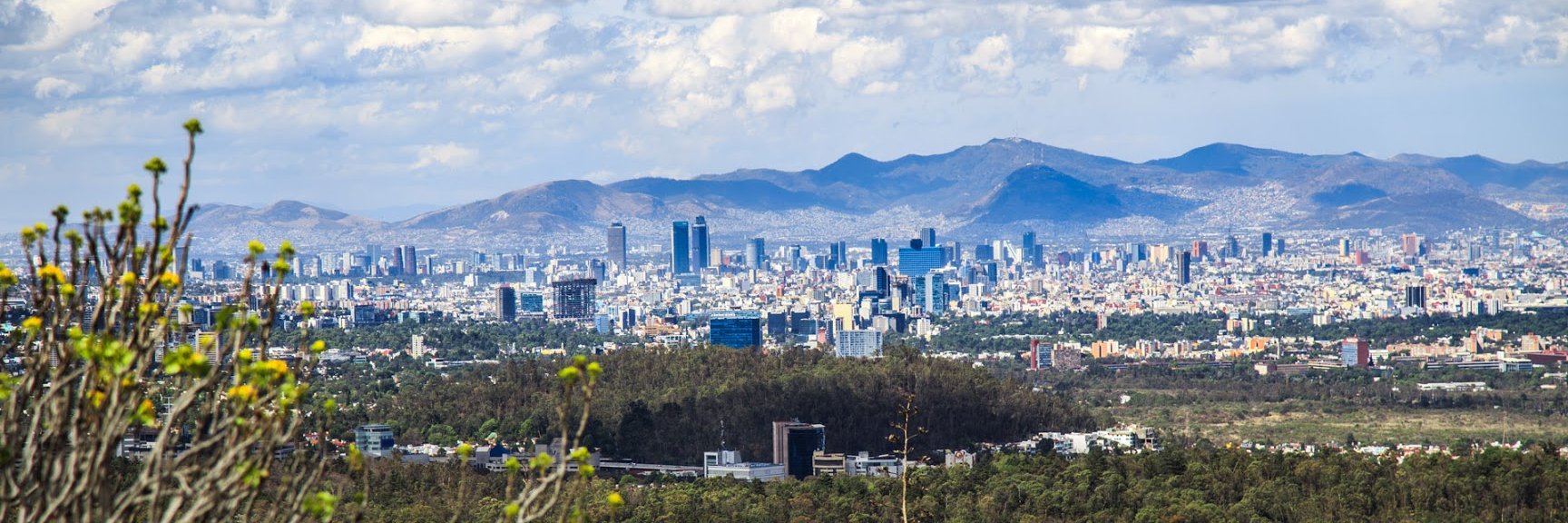 ResilienciaCDMX's profile banner image
