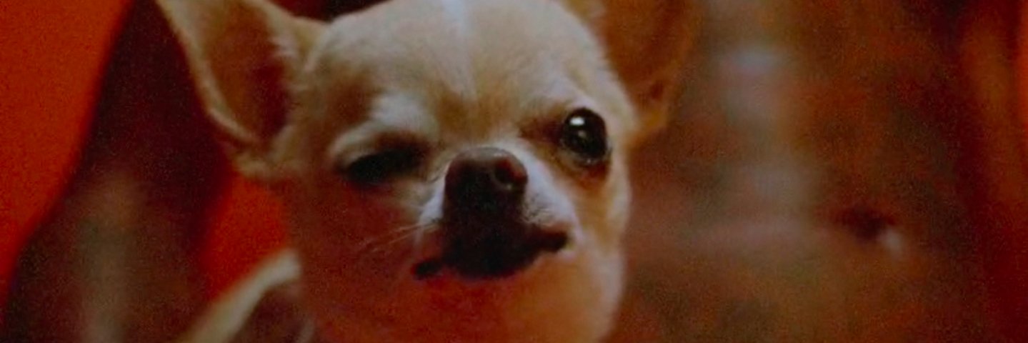 Jokapiloff's profile banner image