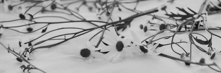 Gingin banner