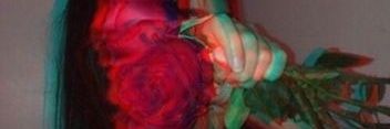 syt banner
