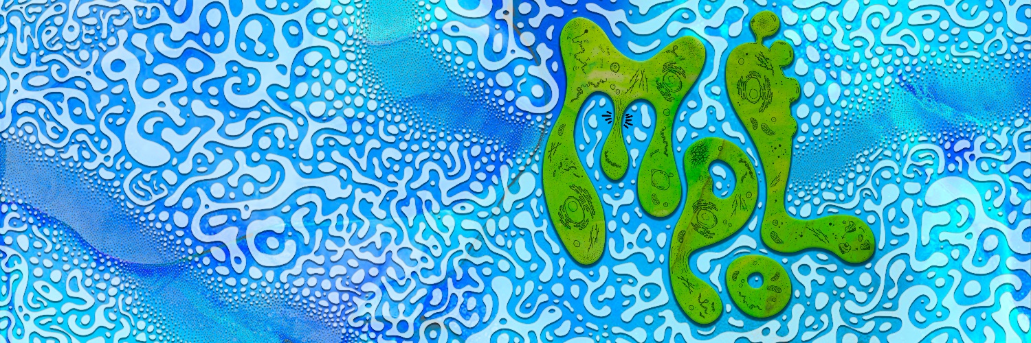 Mesoscopic Physics of Life (MPol) - Weber Group's banner