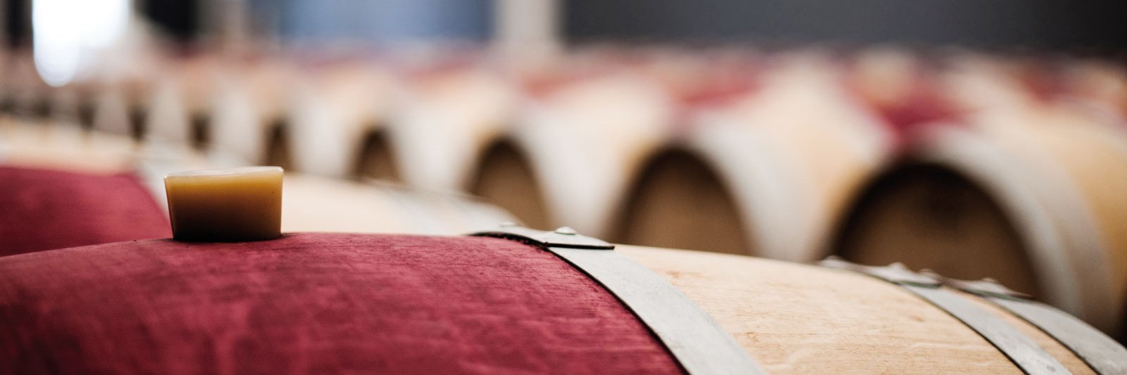 EleanorWine's profile banner image
