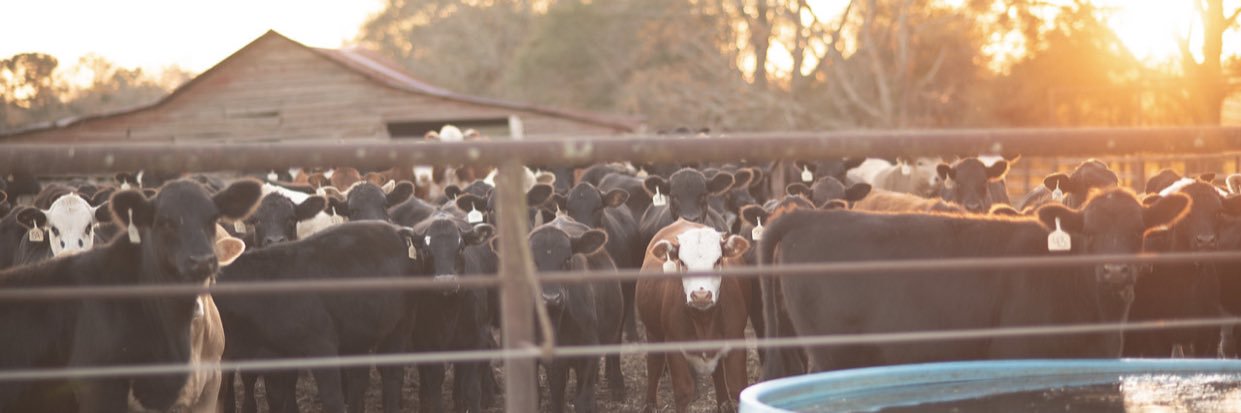 farms_williams's profile banner image