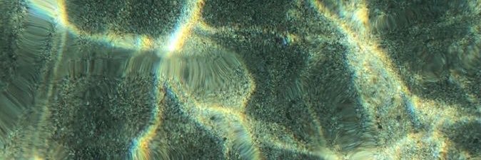 da queen - pilu banner