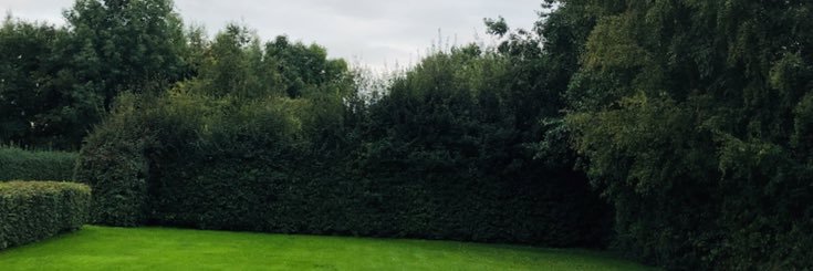 TinyBijl's profile banner image