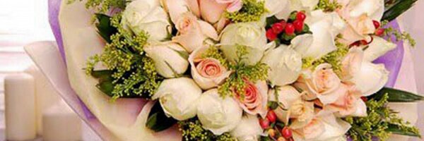 ShantySheFa Profile Banner