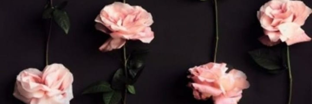khalid_tabark's profile banner image