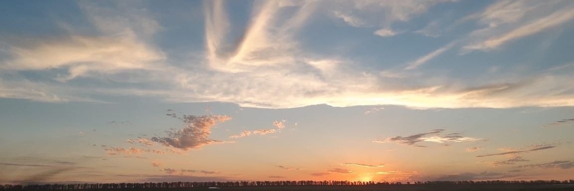 feligotte's profile banner image