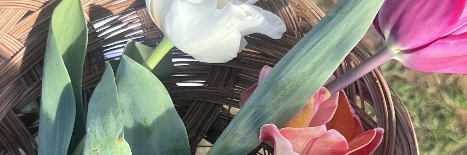 2mariianaa's profile banner image