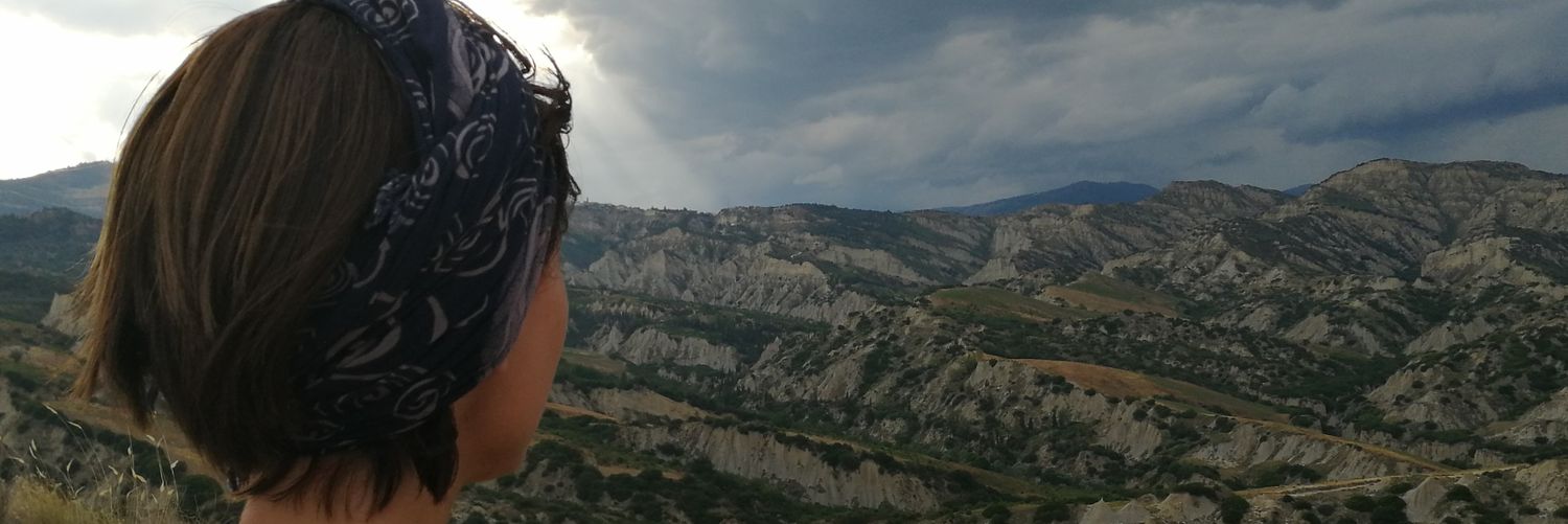 nancysasso's profile banner image