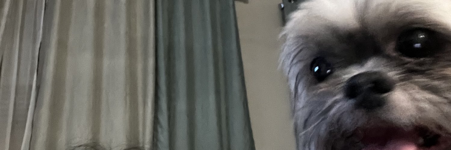 costco combo pizza banner