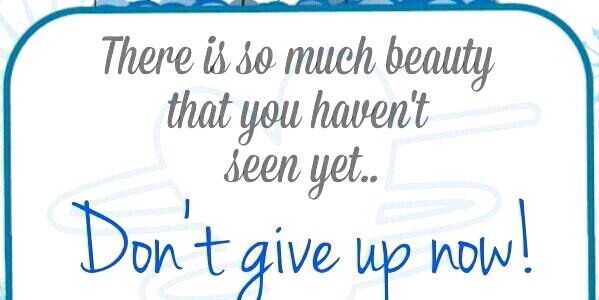 Hilda_Ross's profile banner image