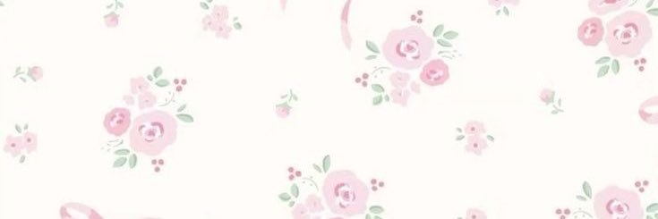 asanches banner