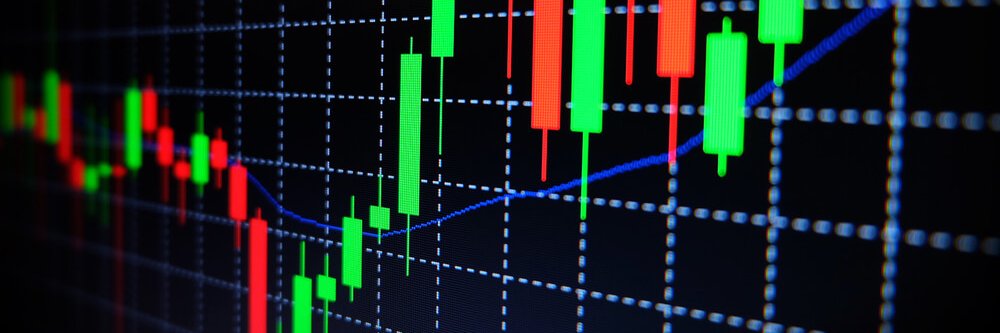 Roger Ruzzier banner