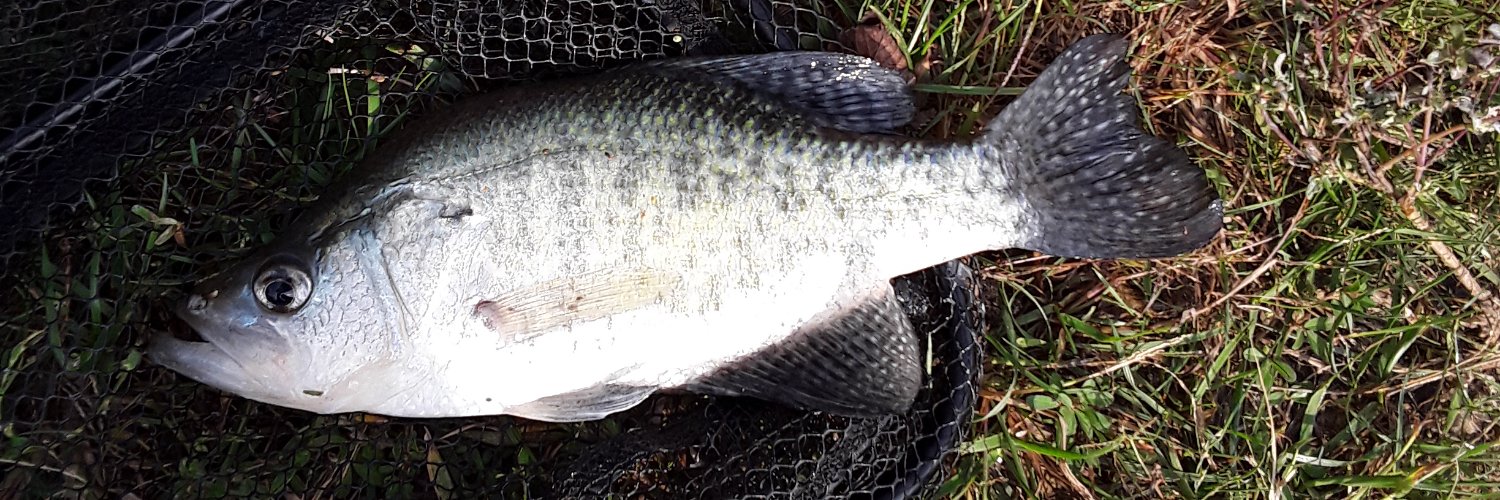 Josh 🙏 Servant of Christ banner