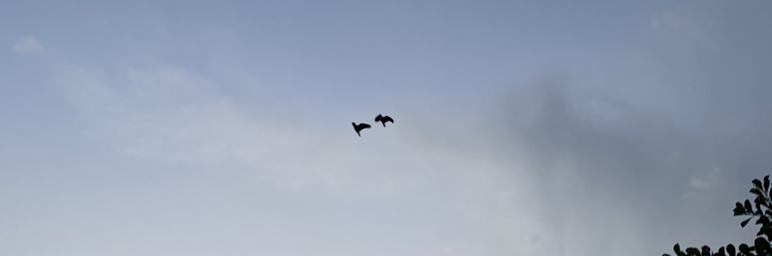 dudarockenbach's profile banner image