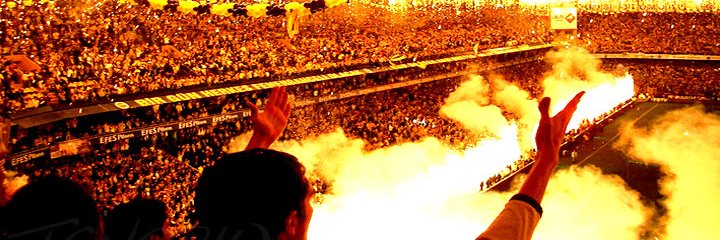 mert banner