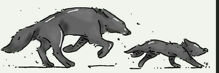 Alexxand_wolf's profile banner image