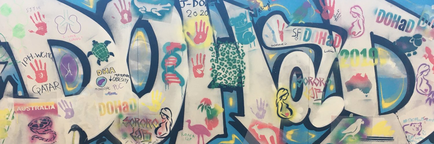 International DOHaD Society's banner