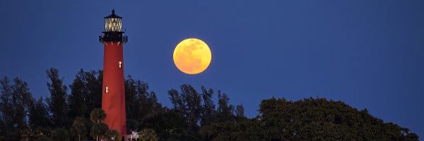 JupiterStrings banner