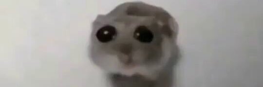 dubious_dabloon's profile banner image