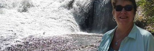 Beth McDonough banner