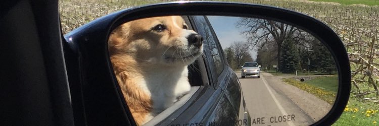 dabbledeux's profile banner image