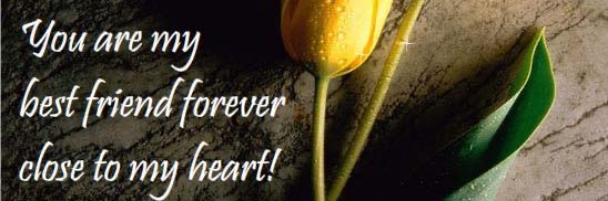 AceFriendsNews's profile banner image