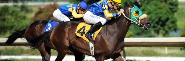 Chrissy_Ottb Profile Banner