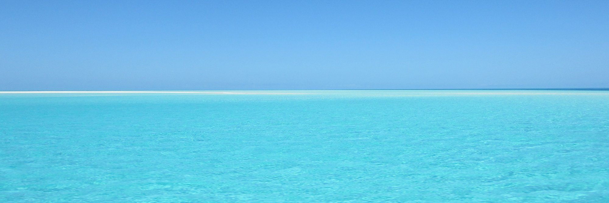 TravelShackHI's profile banner image