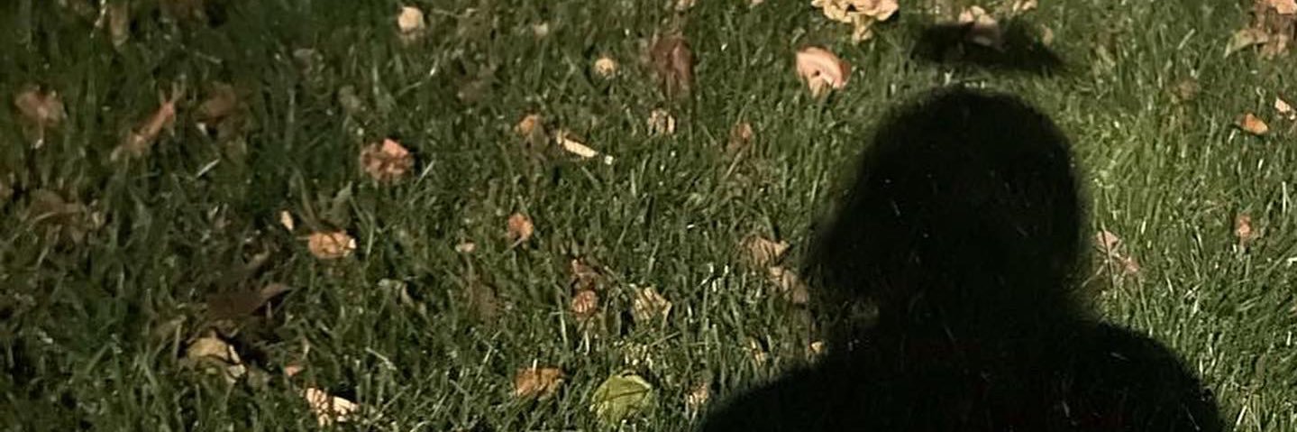 tamyusatf874's profile banner image