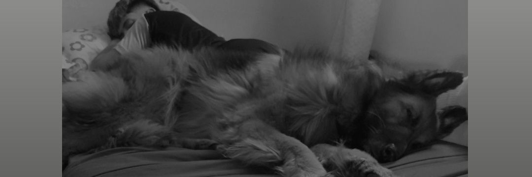 lugonnzalez__'s profile banner image