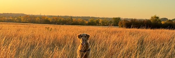 jenna_sarich Profile Banner