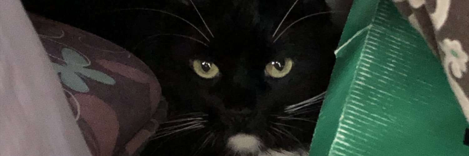 sariskk90's profile banner image