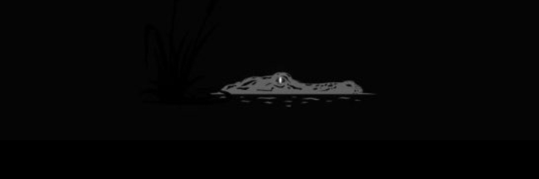 Chinchilla_Con banner