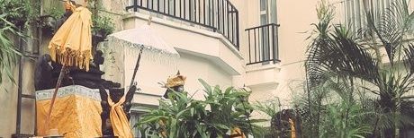 rokitar_mirza's profile banner image