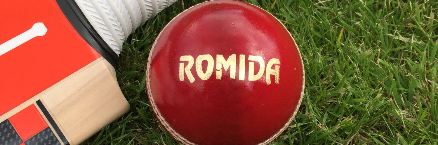RomidaNewhey's profile banner image