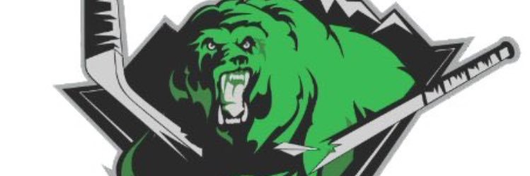 StormBearNation's profile banner image