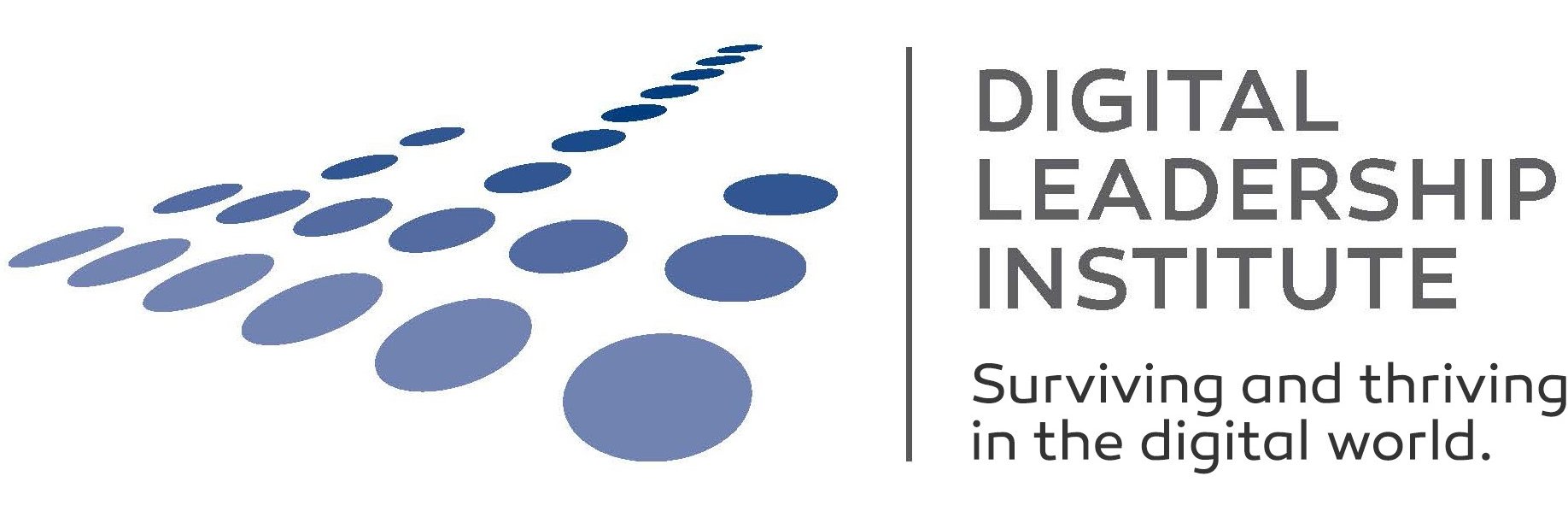 Digital Leadership Institute banner