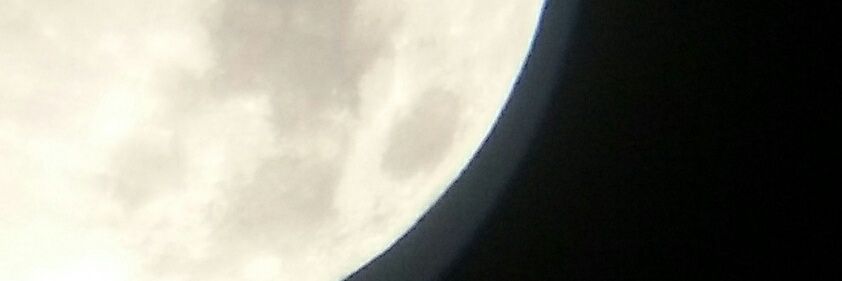 levibtu's profile banner image