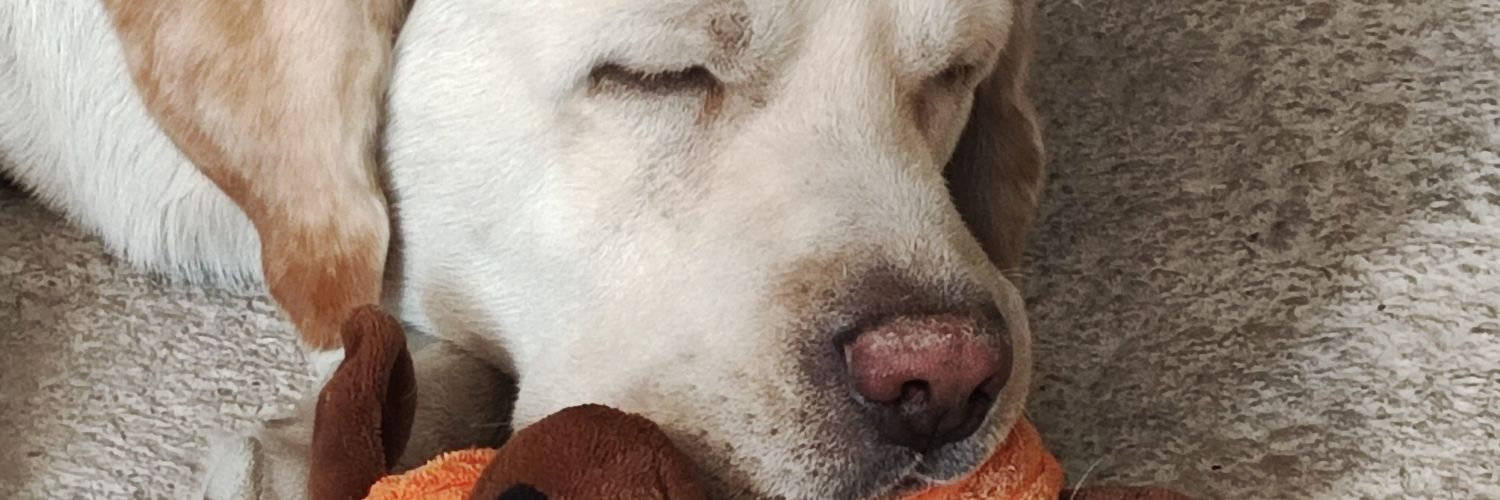 crsxtrm's profile banner image