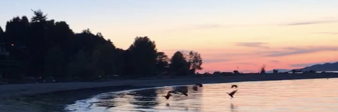 Ashaya Sharma banner