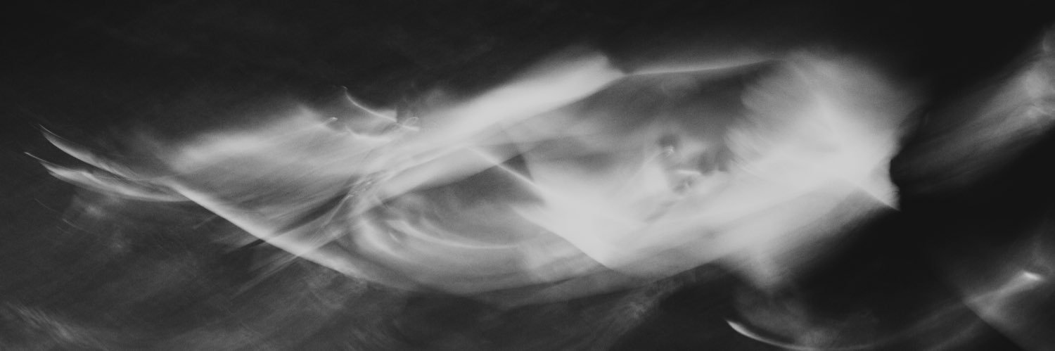 Dries Vriesacker banner