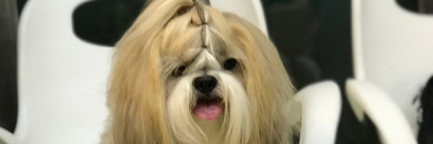 BruCAlmeidaa's profile banner image