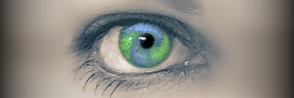 NHSCounterFraud Profile Banner