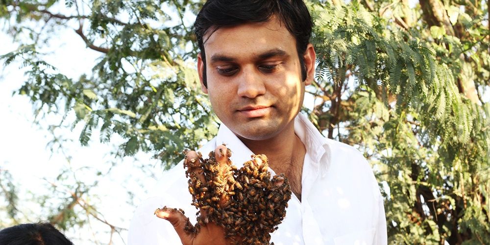 beemanindia1's profile banner image