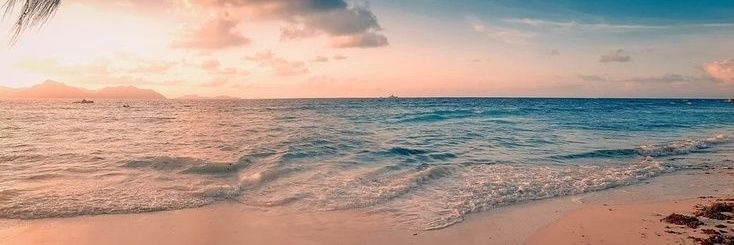 EveeAlbinii's profile banner image