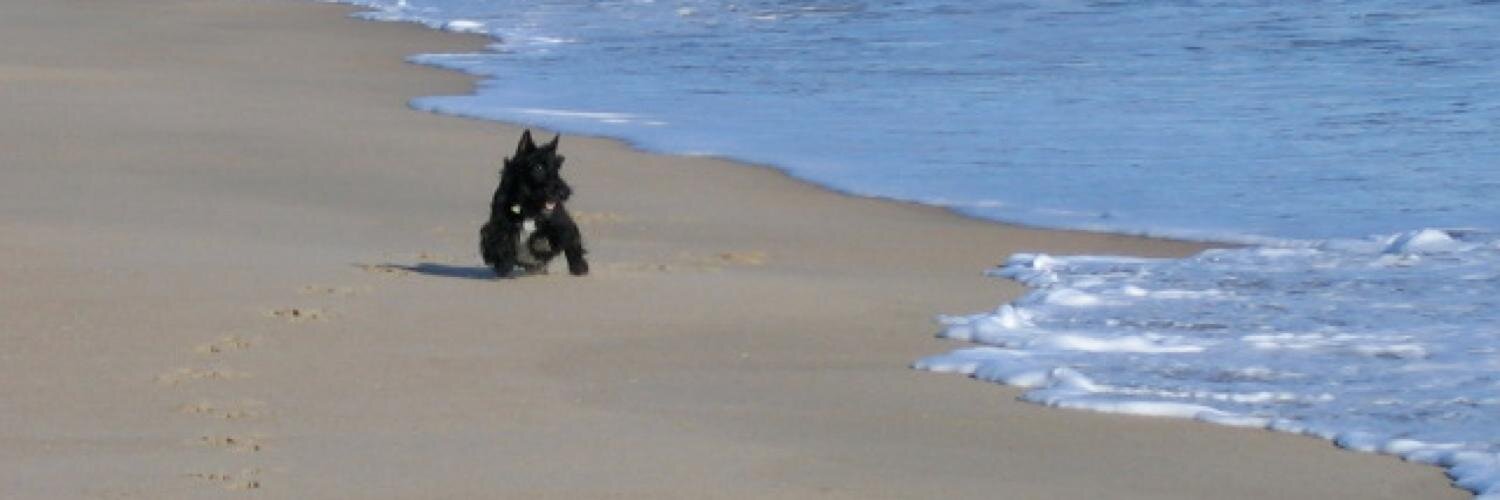 StuartTheScotty's profile banner image