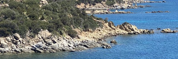 ledot_s Profile Banner