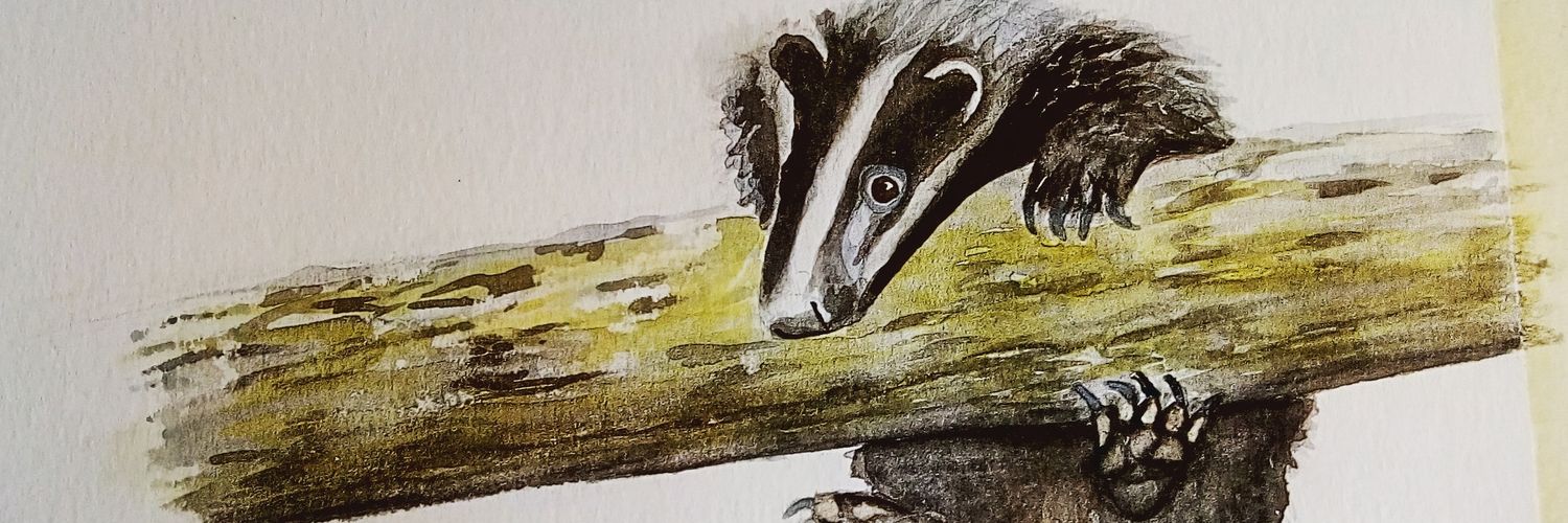 Natashasarts's profile banner image